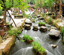 千年水碼頭、古鎮(zhèn)黃龍溪一日游