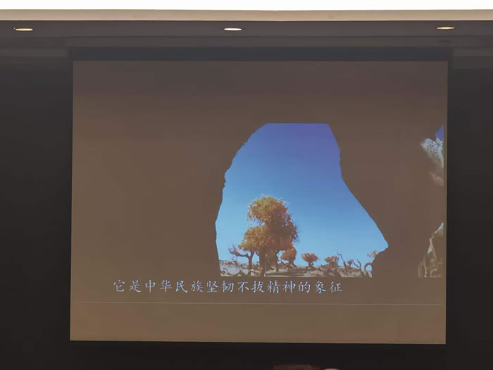 綿陽中旅行假日旅行社舉行胡楊林、南疆專列推薦會